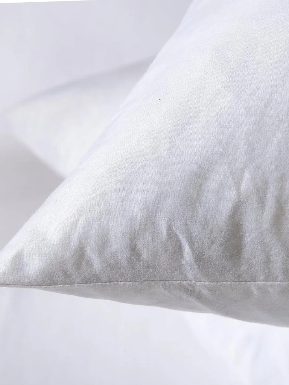 Pair 24x24 Goose Feather Down Euro Pillow Inserts